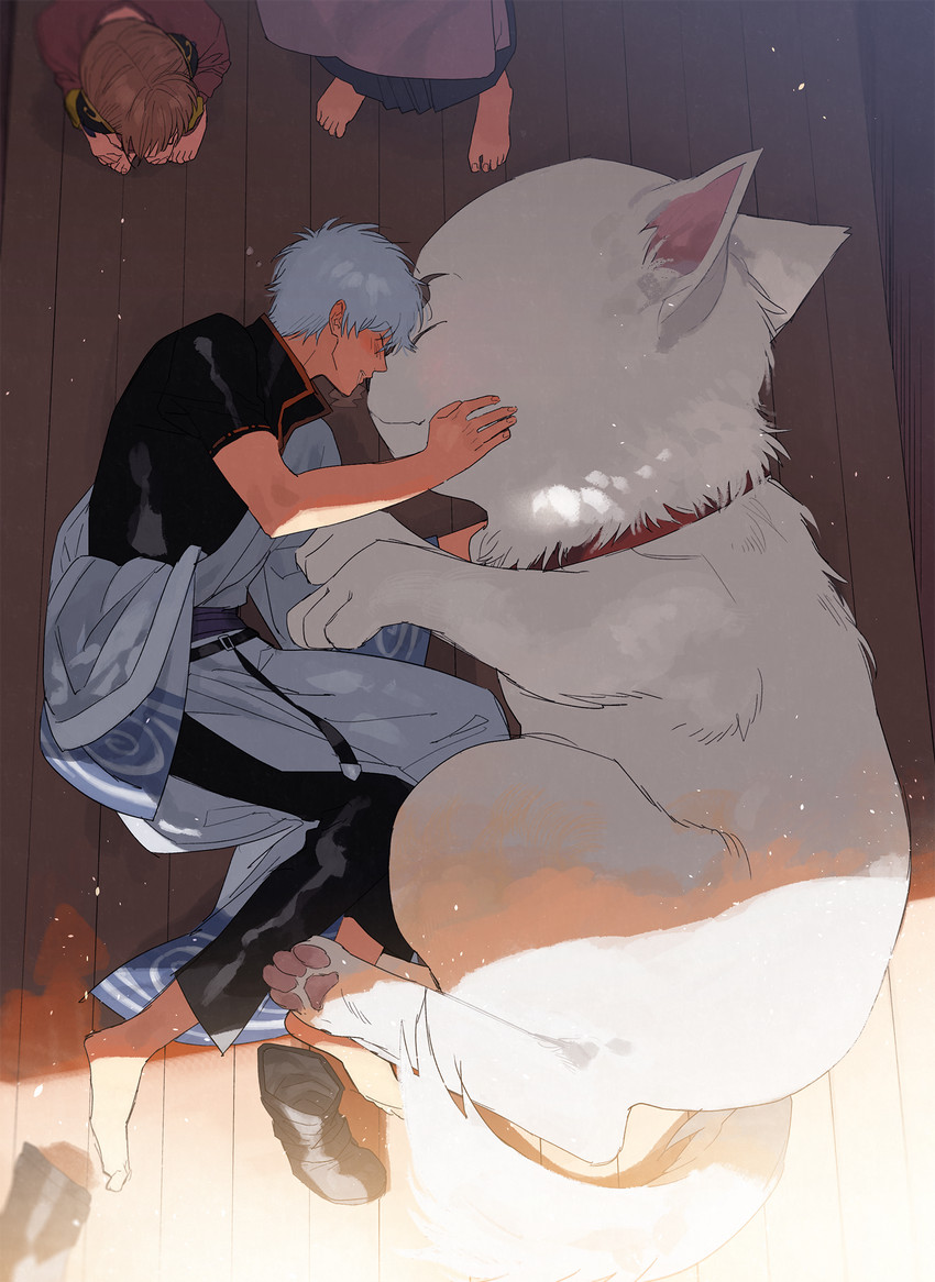 sakata gintoki, kagura, shimura shinpachi, and sadaharu (gintama) drawn by sennen_suisei