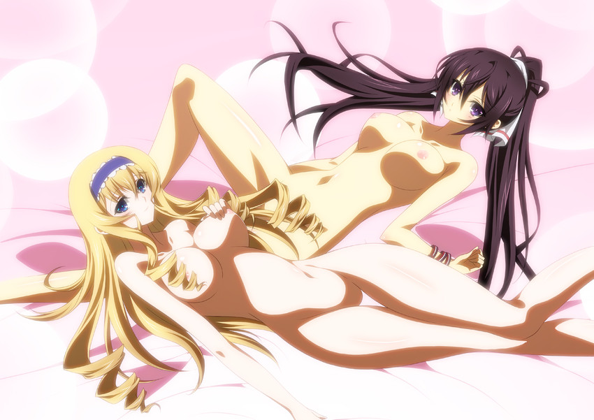 cecilia alcott and shinonono houki (infinite stratos) drawn by ka2