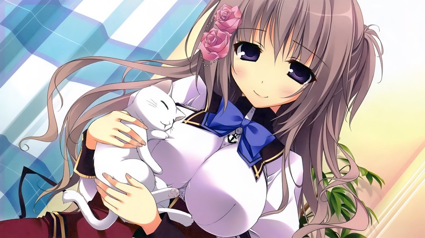 tanabata shiori (yume to iro de dekiteiru) drawn by karory