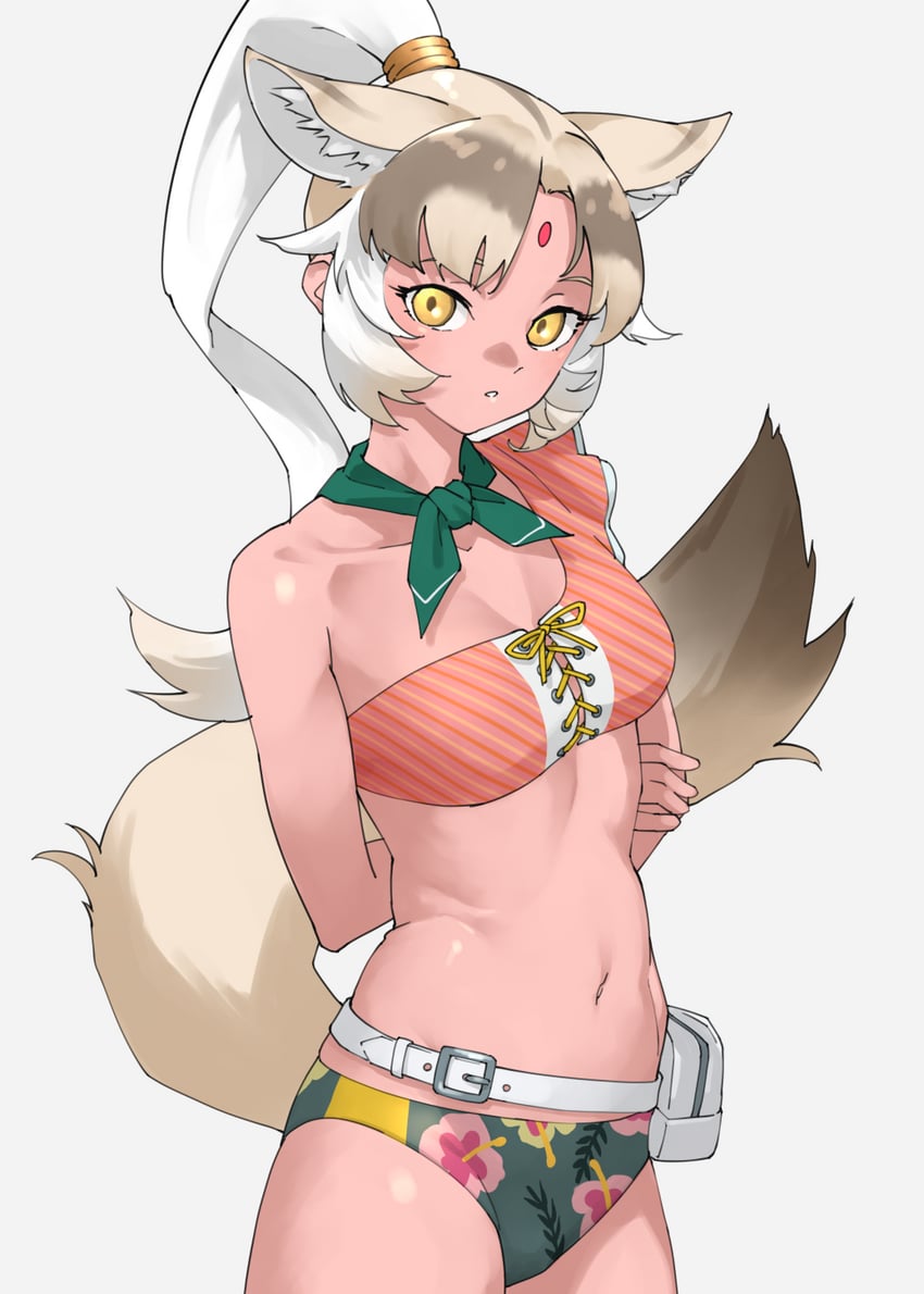 indian wolf (kemono friends and 1 more) drawn by tanabe_(fueisei)