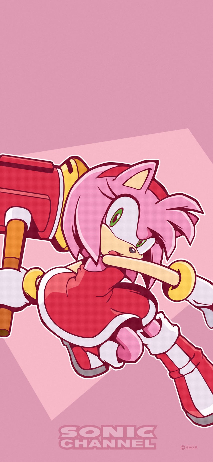 amy rose (sonic and 1 more) drawn by hayane_tomoko