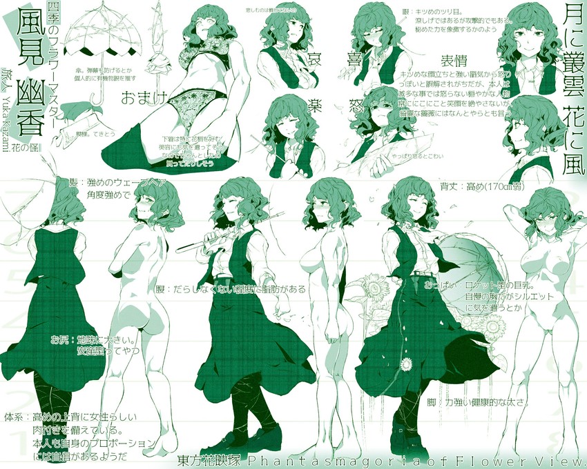 kazami yuuka (touhou and 1 more) drawn by hi_you_(flying_bear)