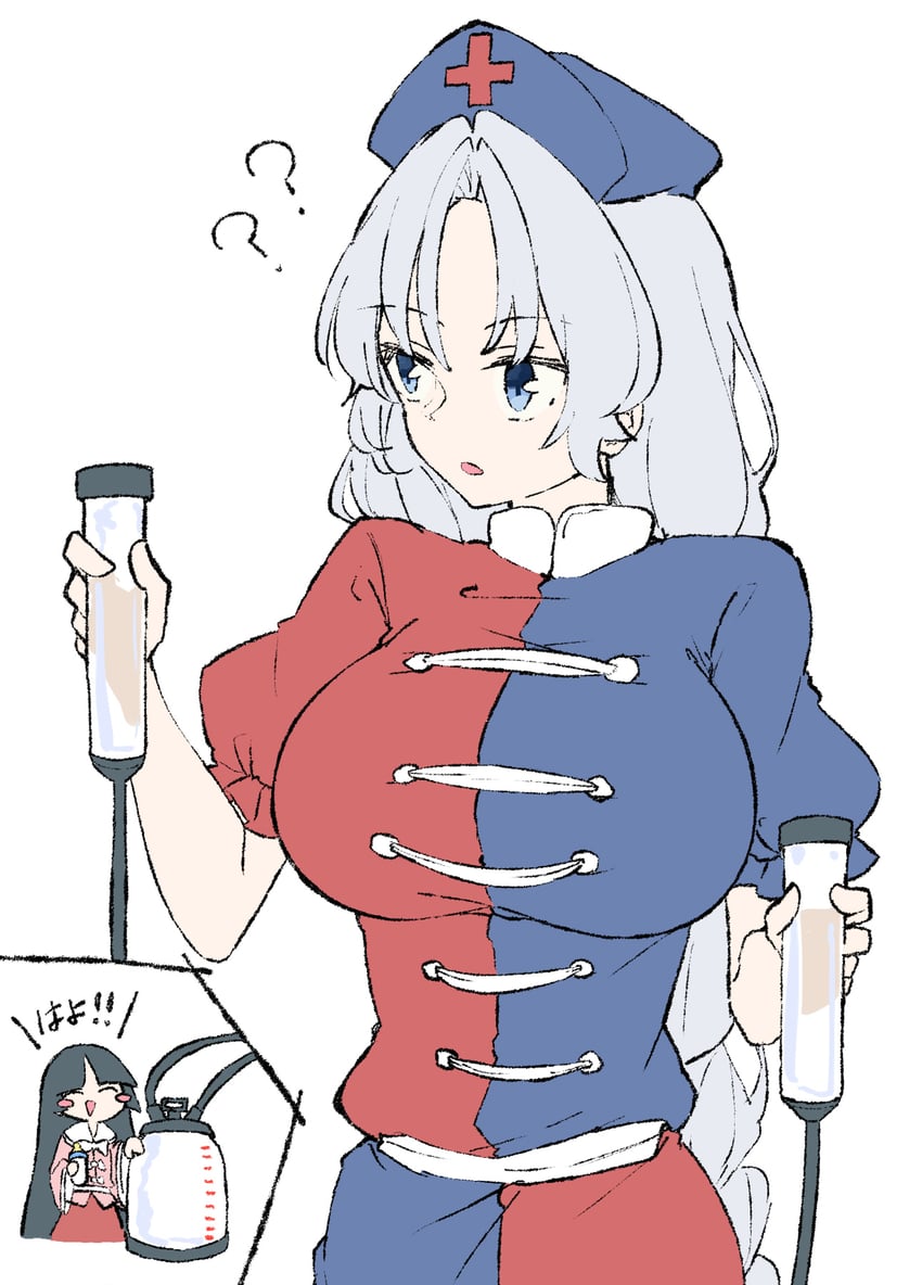 houraisan kaguya and yagokoro eirin (touhou) drawn by deetamu