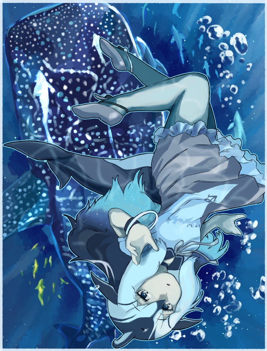 pacific white-sided dolphin (kemono friends) drawn by toriny