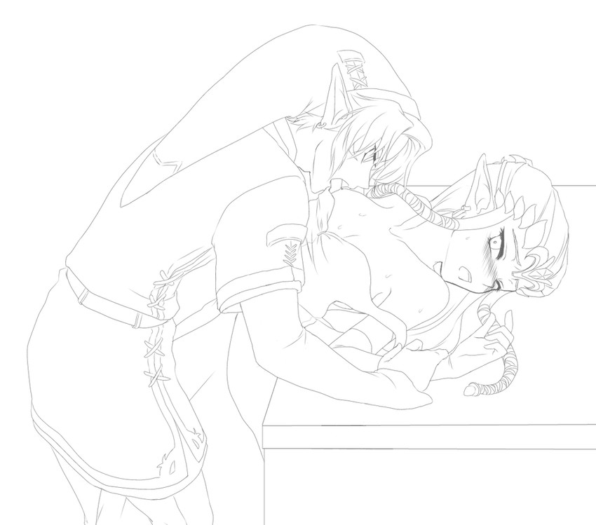 link and princess zelda (the legend of zelda and 1 more) drawn by chikuwa_(rinka)