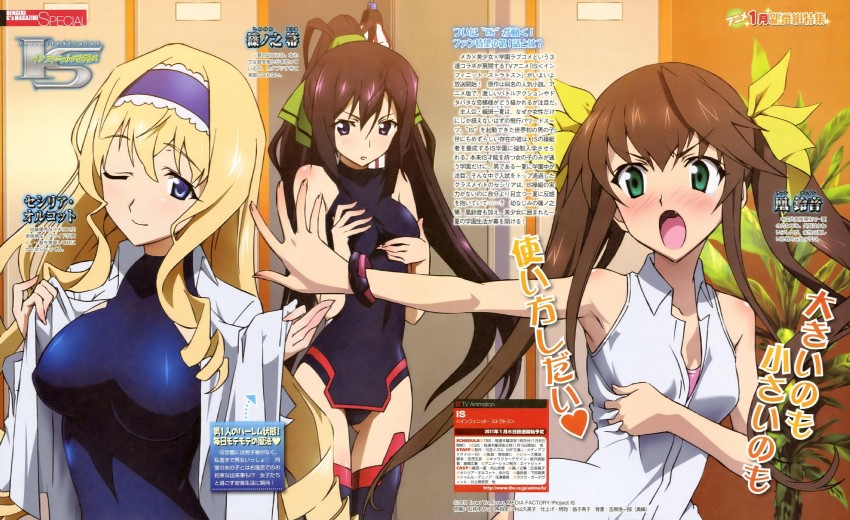 cecilia alcott, shinonono houki, and huang lingyin (infinite stratos and 1 more) drawn by ishii_yumiko