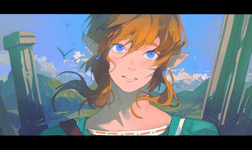 link (the legend of zelda and 1 more) drawn by sanyang003