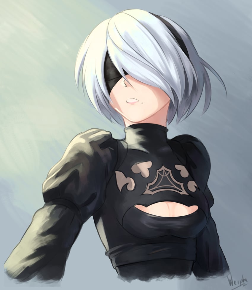 2b (nier and 1 more) drawn by blander_mc
