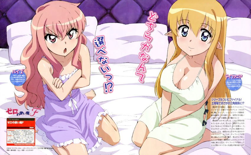 louise francoise le blanc de la valliere and tiffania westwood (zero no tsukaima and 1 more) drawn by fujii_masahiro