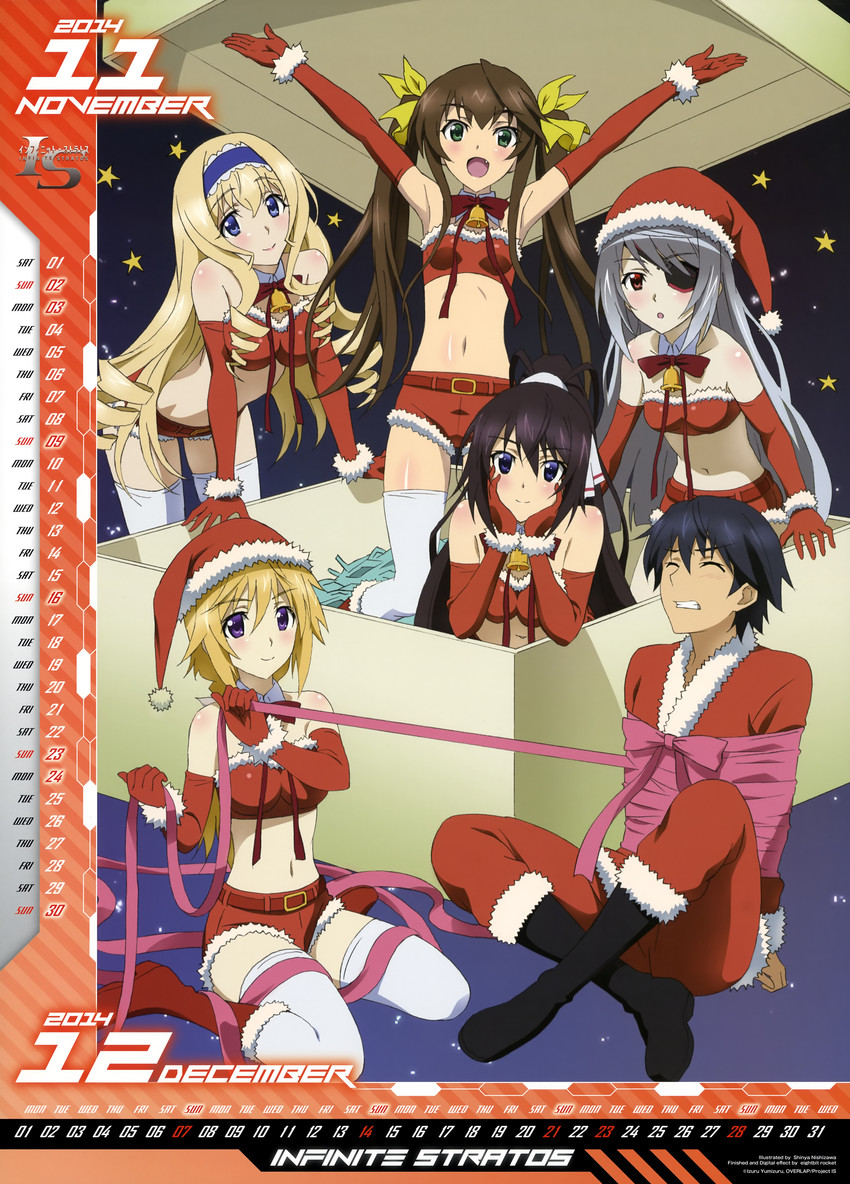 charlotte dunois, cecilia alcott, laura bodewig, shinonono houki, huang lingyin, and 1 more (infinite stratos) drawn by nishizawa_shin'ya