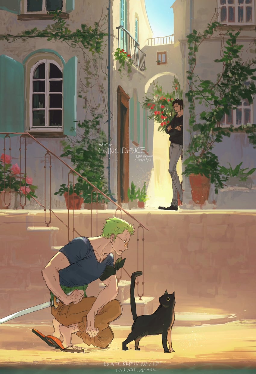 roronoa zoro and trafalgar law (one piece) drawn by plytometo
