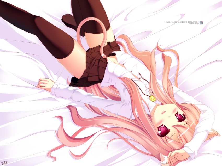 louise francoise le blanc de la valliere (zero no tsukaima) drawn by natsumiya_yuzu