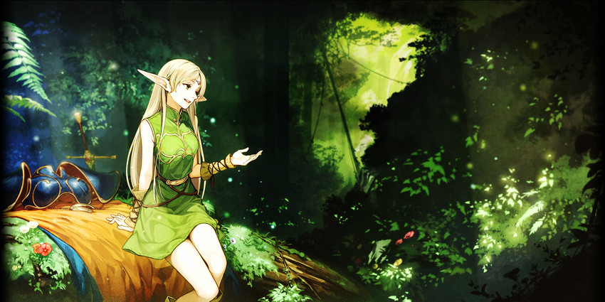 deedlit (record of lodoss war) drawn by hidari_(left_side)