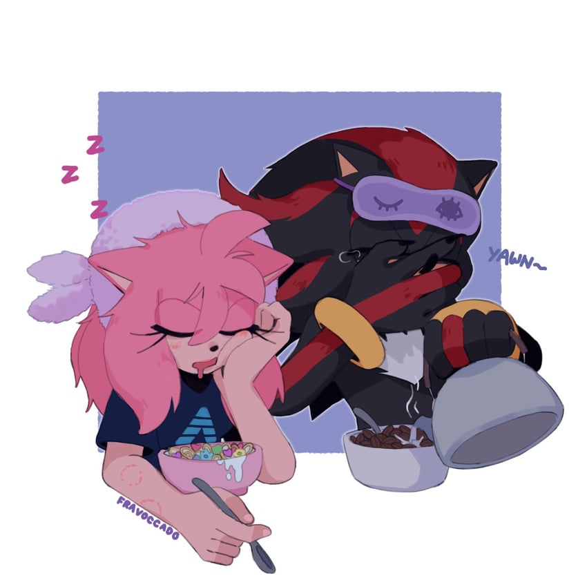shadow the hedgehog and amy rose (sonic) drawn by fravoccado