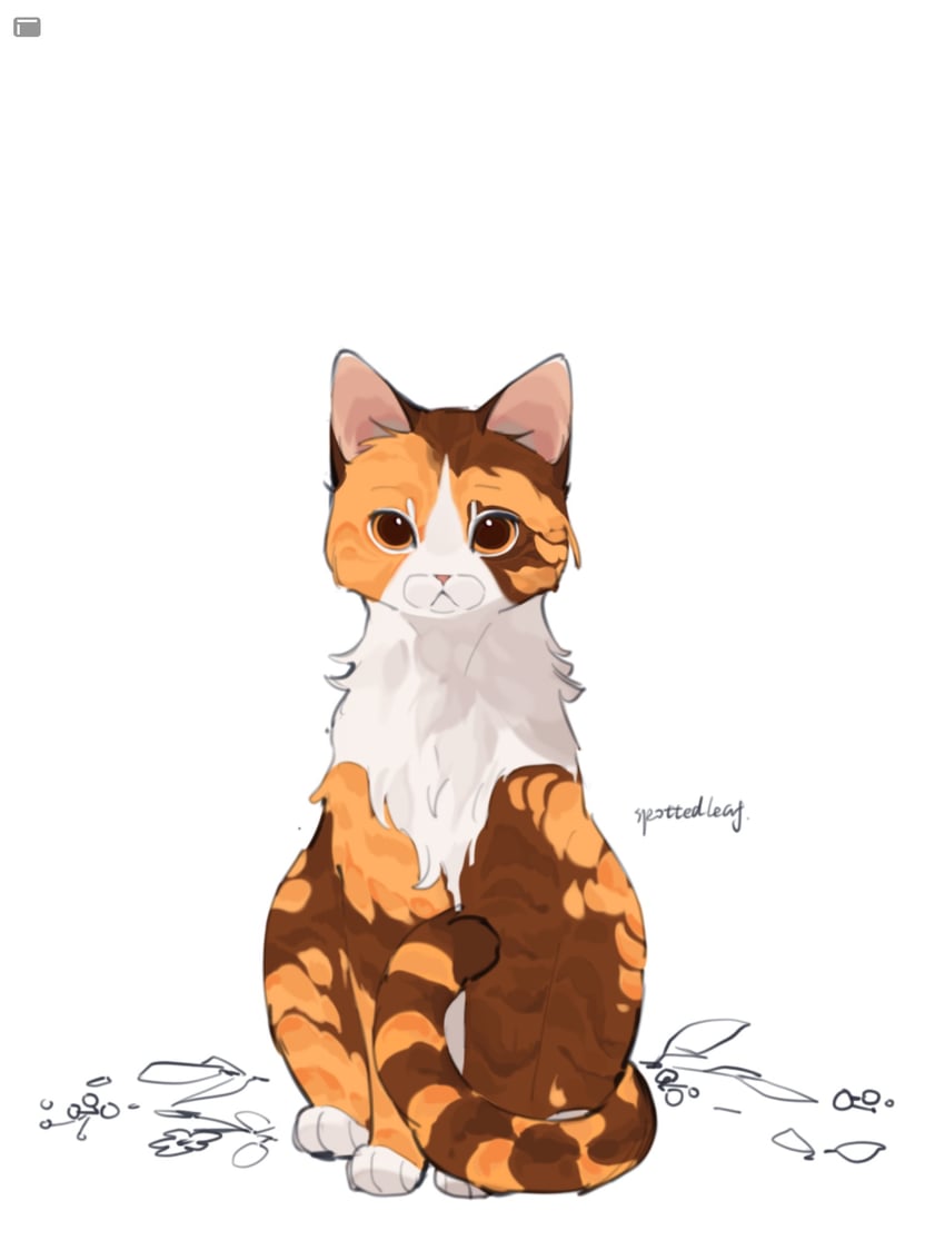 spottedleaf (warrior cats and 1 more) drawn by gugugugu48918