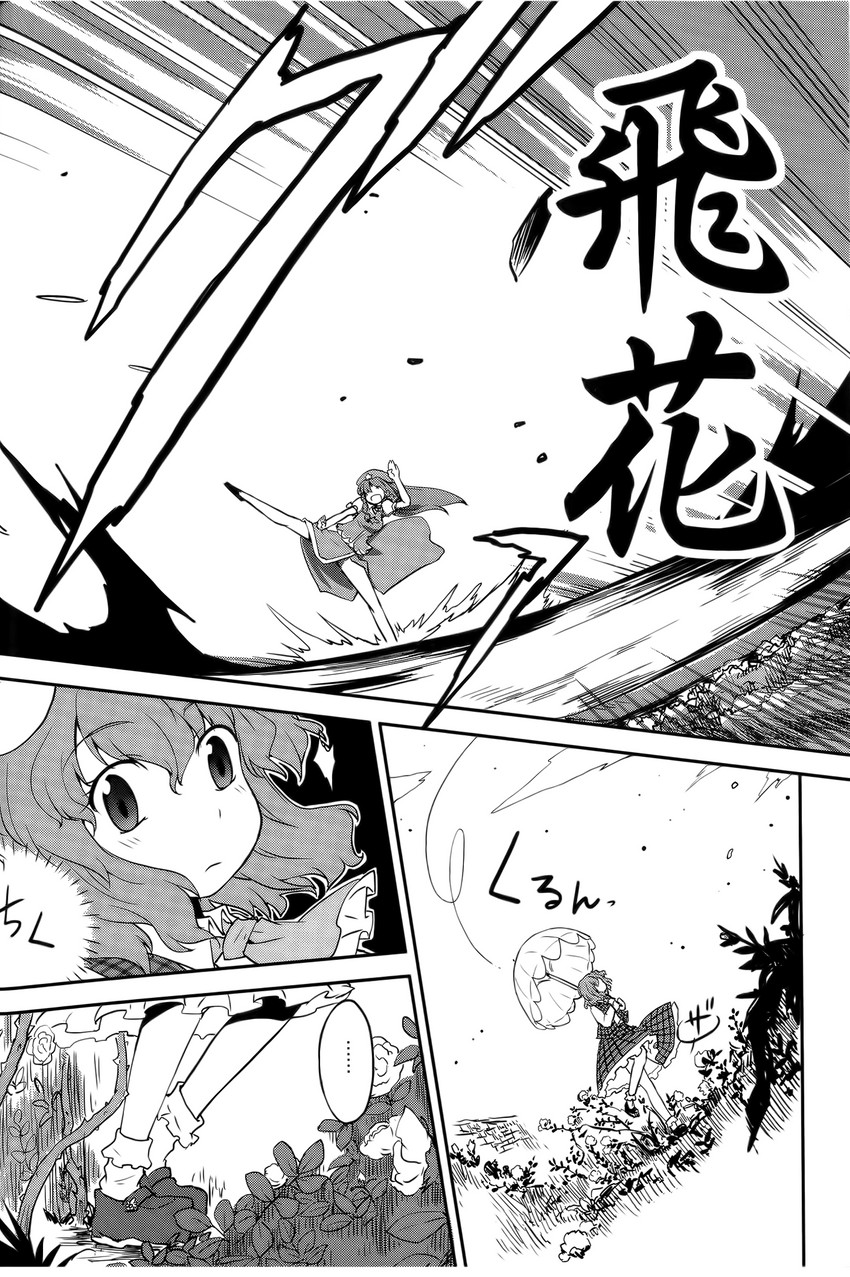 hong meiling and kazami yuuka (touhou) drawn by mizumoto_tadashi