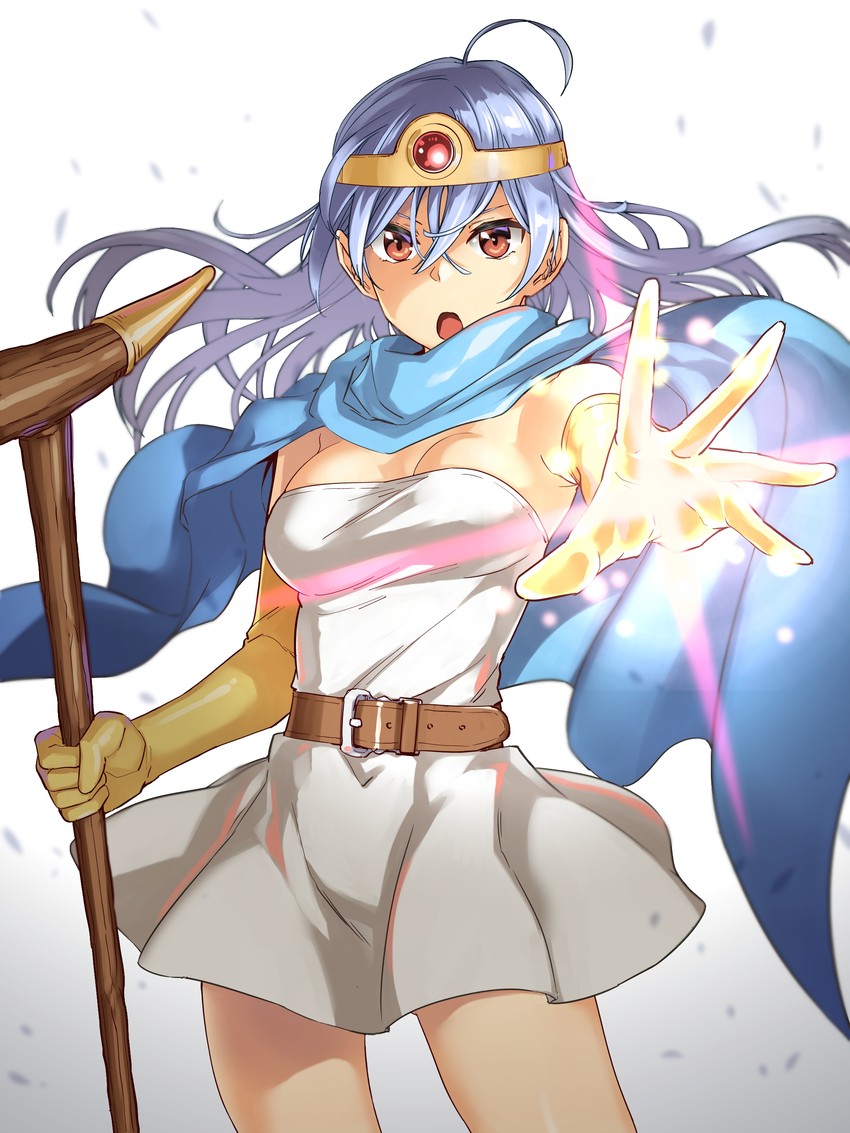 sage (dragon quest and 1 more) drawn by abo_(hechouchou)