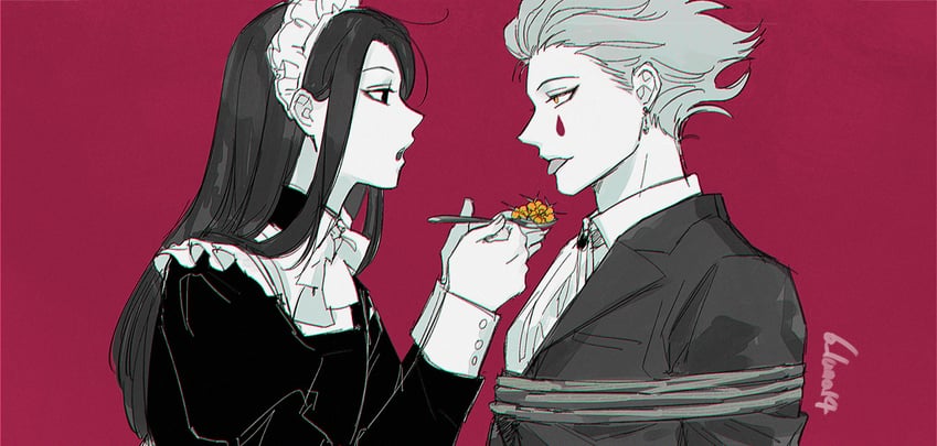 hisoka morow and illumi zoldyck (hunter x hunter) drawn by boleum_(dgrpluna)