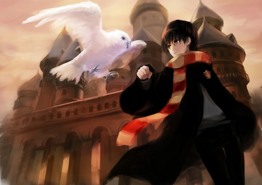 harry potter (wizarding world and 1 more) drawn by ask_(askzy)