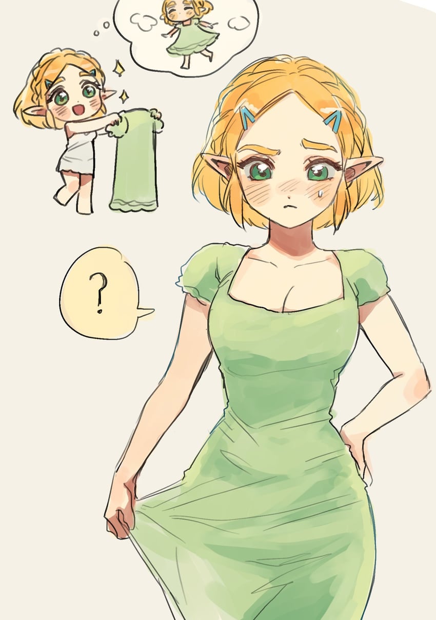 princess zelda (the legend of zelda and 1 more) drawn by didi_en_ilu