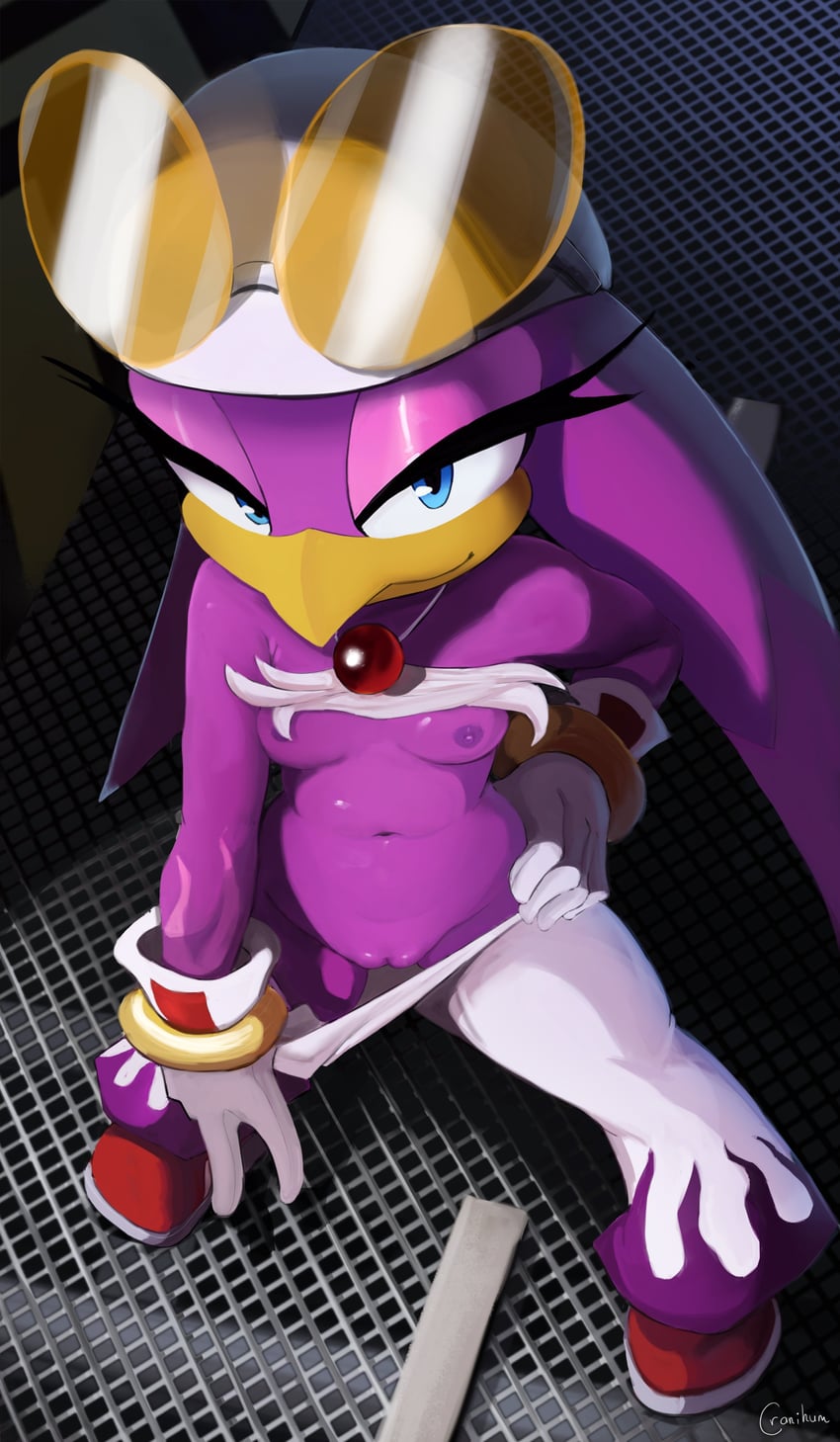 wave the swallow (sonic and 1 more) drawn by cranihum