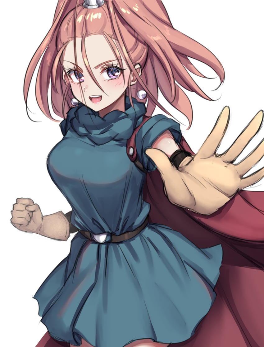 barbara (dragon quest and 1 more) drawn by haniwa_(8241427)