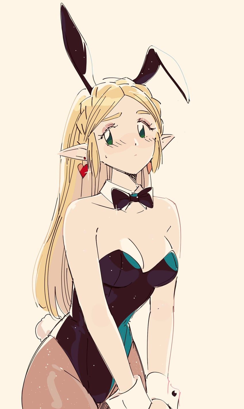 princess zelda (the legend of zelda and 1 more) drawn by tkdnlerkdtpfsut