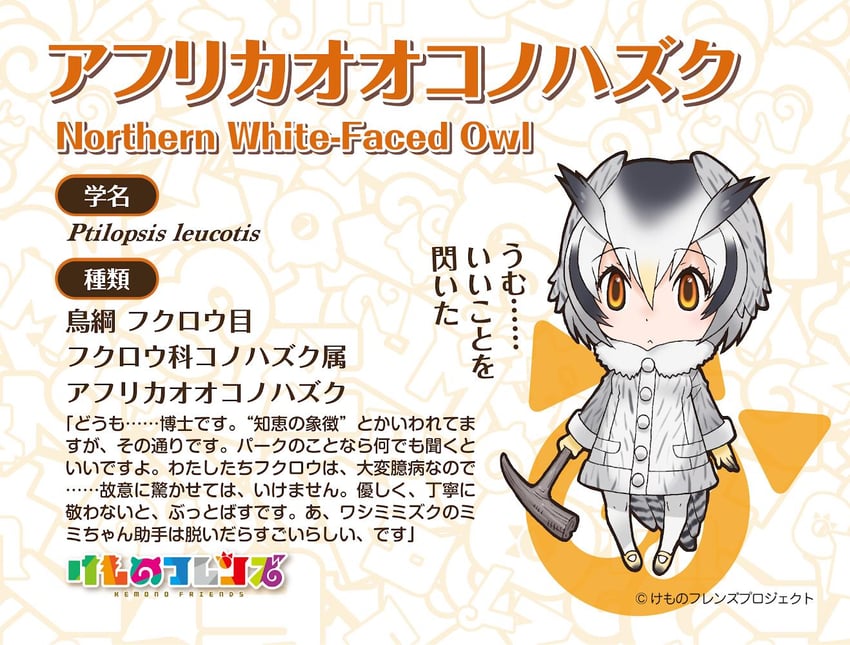 northern white-faced owl (kemono friends) drawn by yoshizaki_mine
