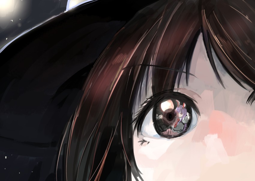 reisen udongein inaba and usami renko (touhou) drawn by ichiba_youichi