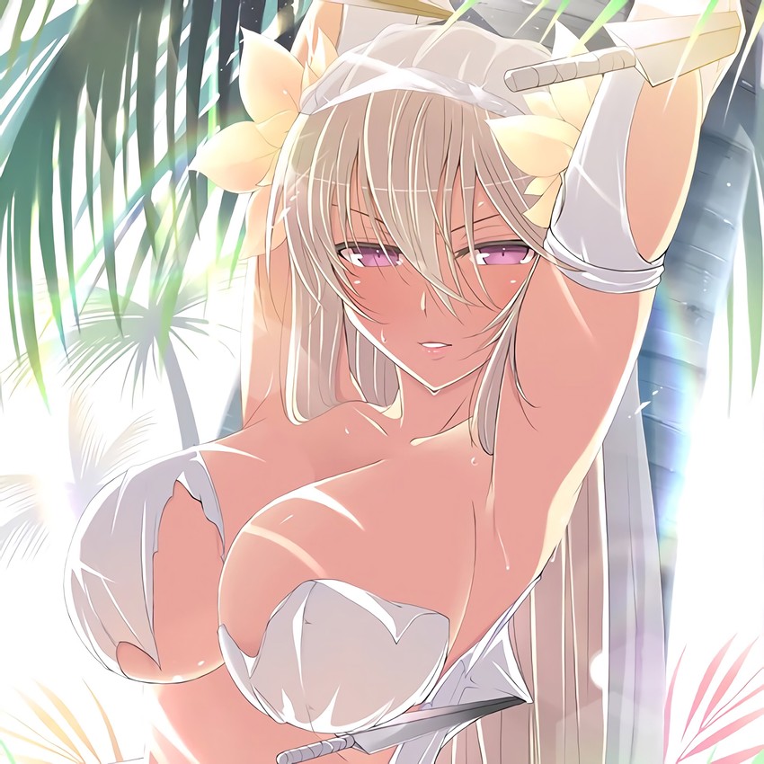 leo (senran kagura and 1 more) drawn by yaegashi_nan