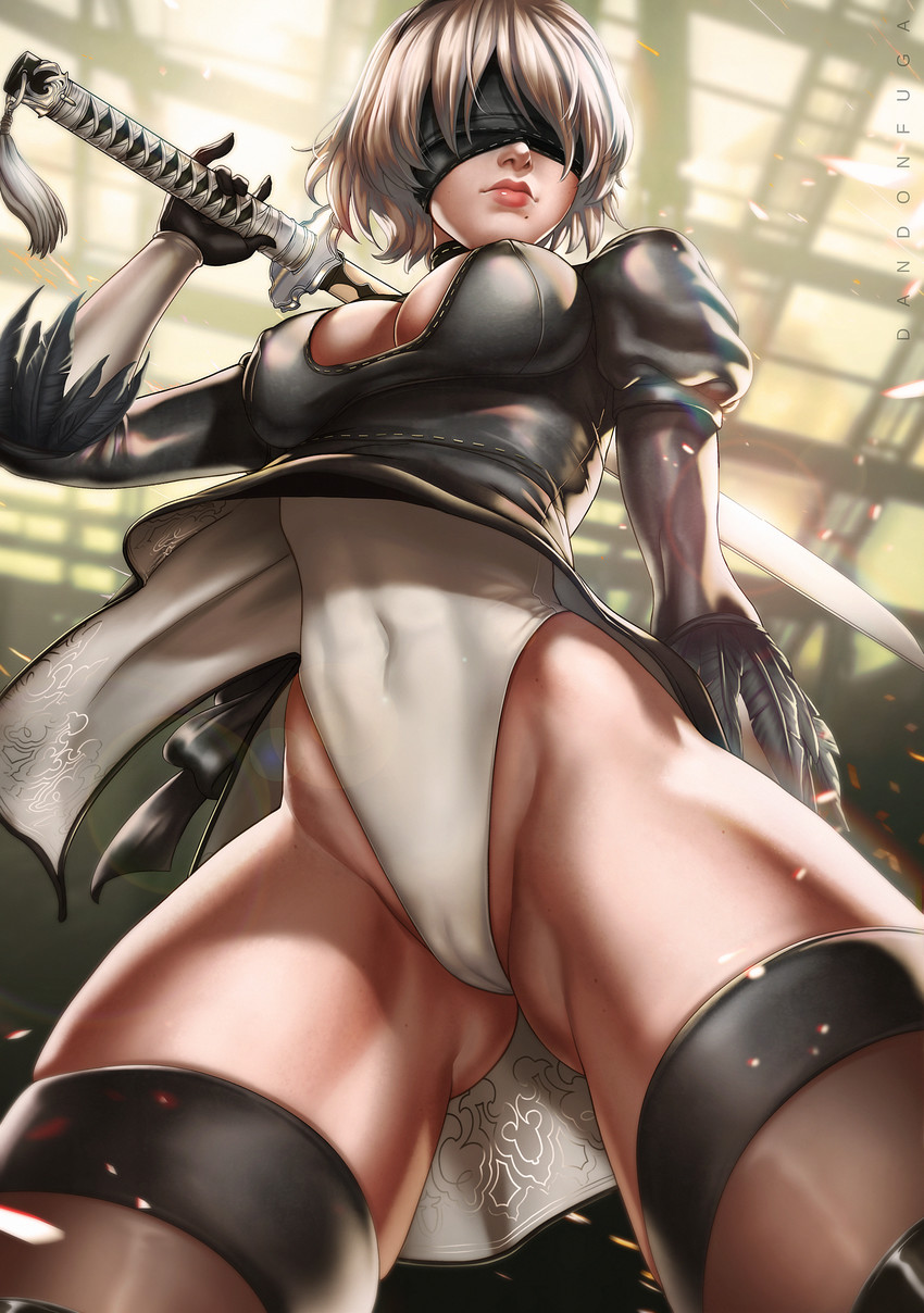2b (nier and 1 more) drawn by dandon_fuga