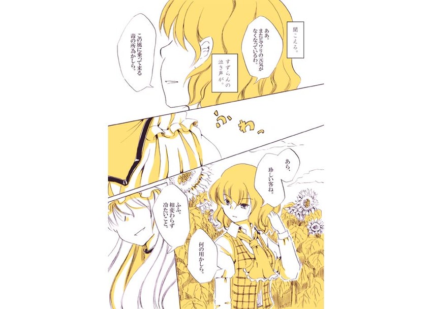 yakumo yukari and kazami yuuka (touhou) drawn by shiroaisa