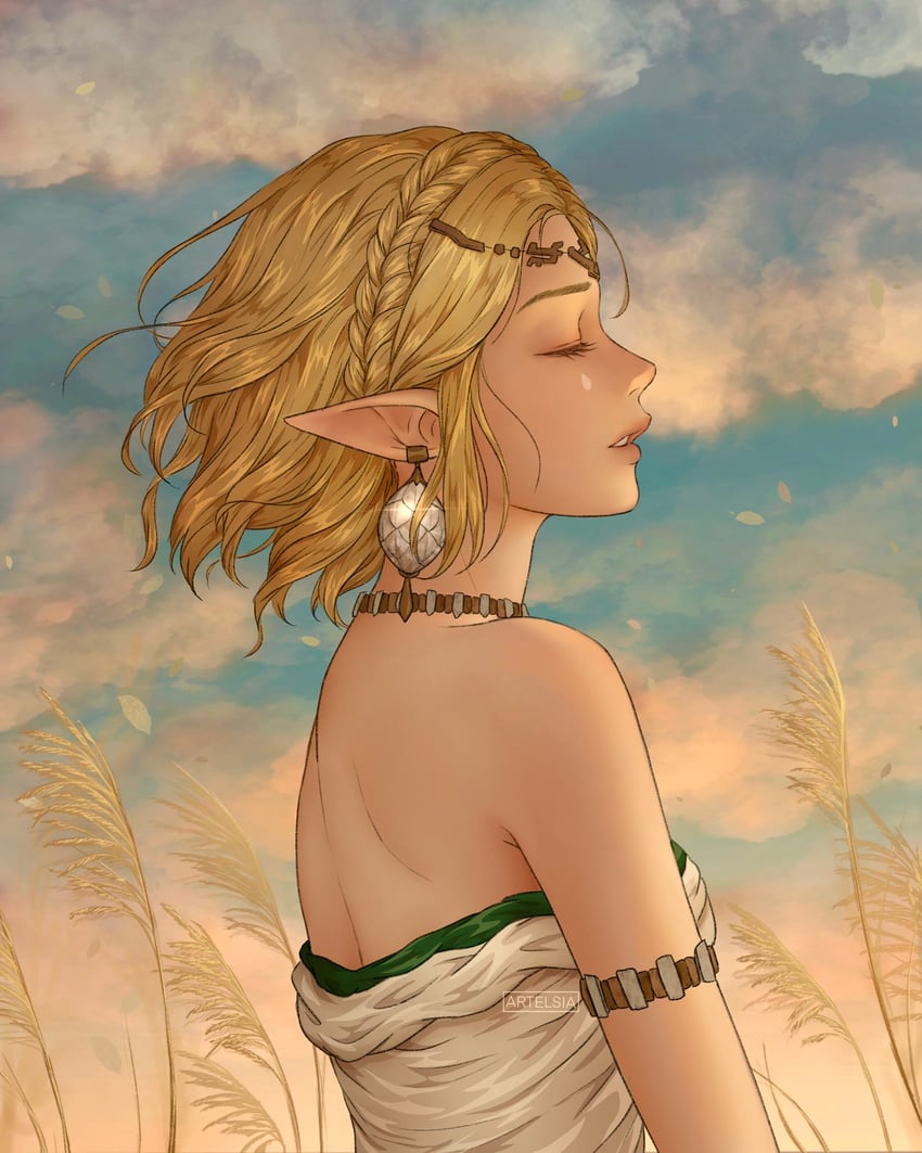 princess zelda (the legend of zelda and 1 more) drawn by artelsia