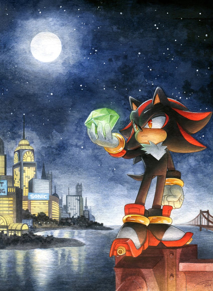 shadow the hedgehog (sonic and 1 more) drawn by finik