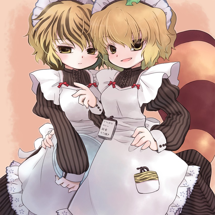 toramaru shou and futatsuiwa mamizou (touhou) drawn by biyon