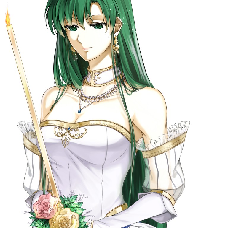 lyn (fire emblem and 2 more) drawn by delsaber