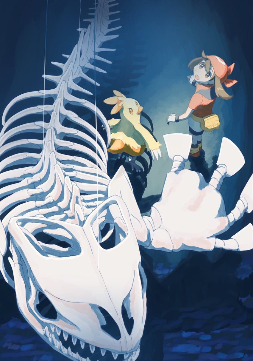 may, kyogre, and combusken (pokemon and 1 more) drawn by torinoko_(miiko_draw)