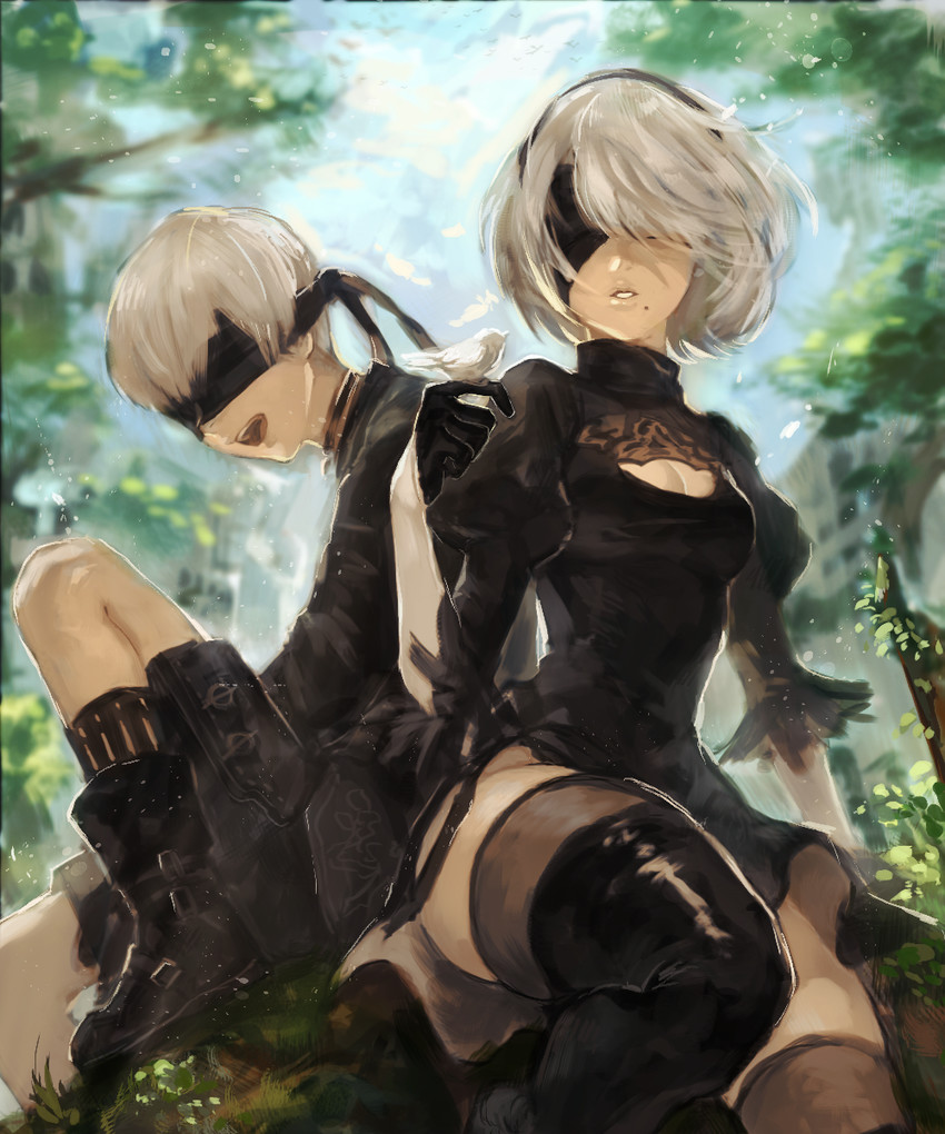 2b and 9s (nier and 1 more) drawn by nima_(niru54)