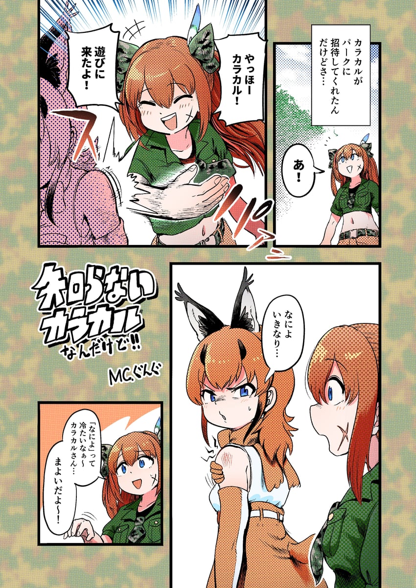 caracal and irodori mayoi (kemono friends and 2 more) drawn by mcgunngu