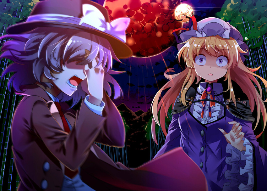 usami renko and maribel hearn (touhou) drawn by e.o.