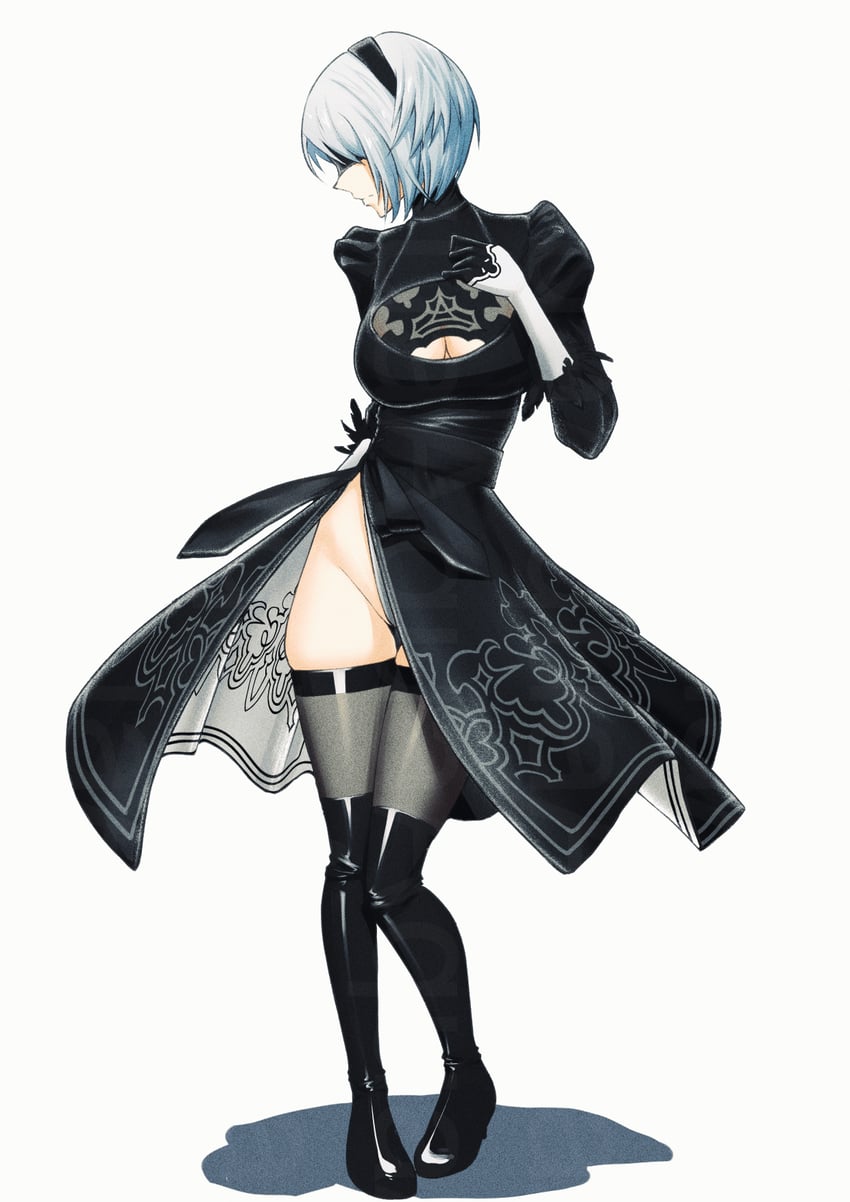2b (nier and 1 more) drawn by illust_aqua
