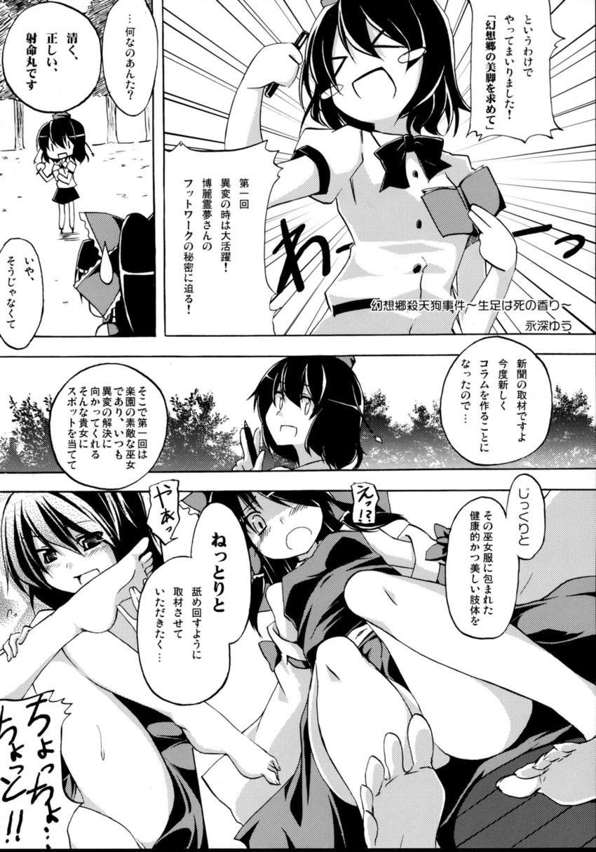 hakurei reimu and shameimaru aya (touhou) drawn by nagami_yuu