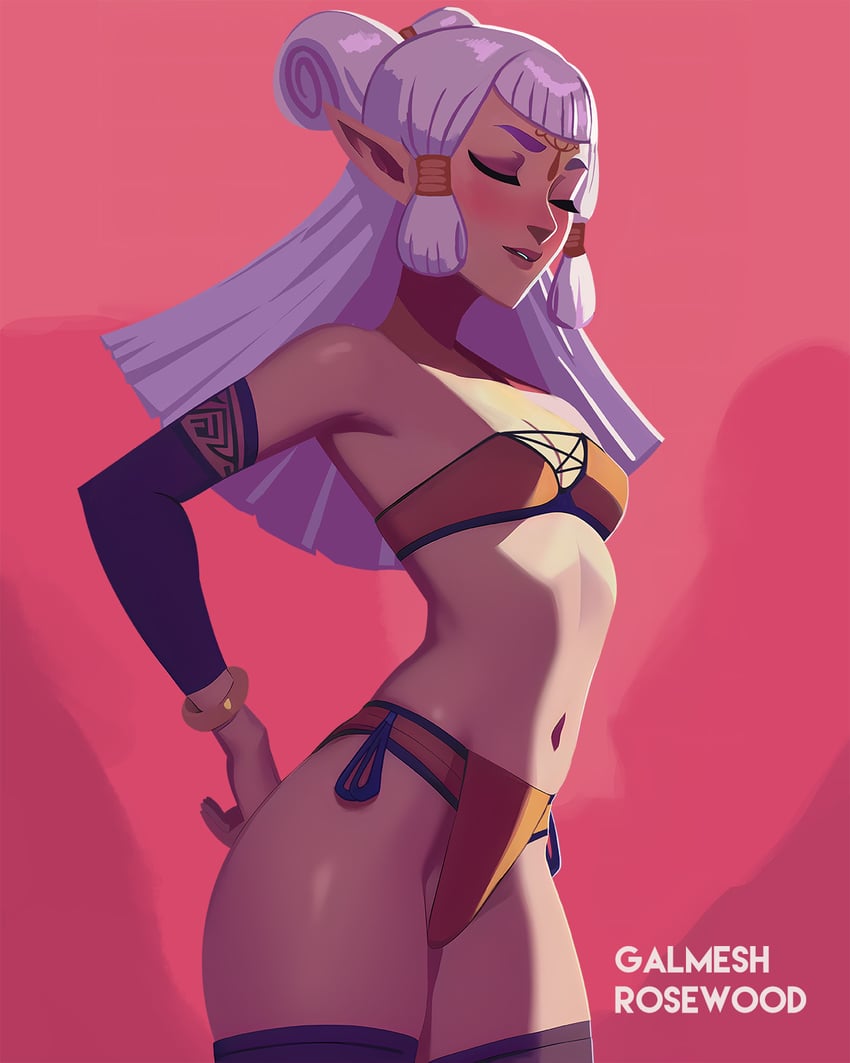 paya (the legend of zelda and 1 more) drawn by galmesh_rosewood