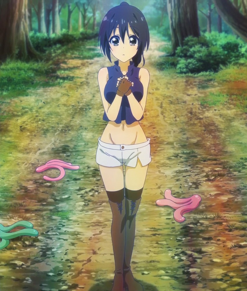 akiyama nanako (netoge no yome wa onna no ko janai to omotta?)