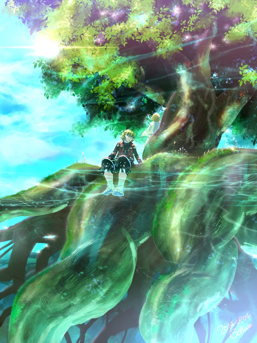 shulk and fiora (xenoblade chronicles and 1 more) drawn by katakeo