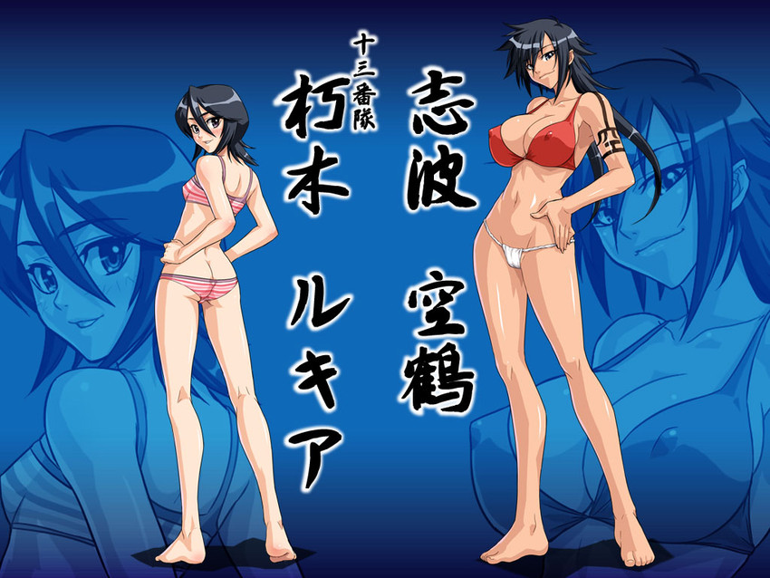 kuchiki rukia and shiba kuukaku (bleach) drawn by kagami_hirotaka