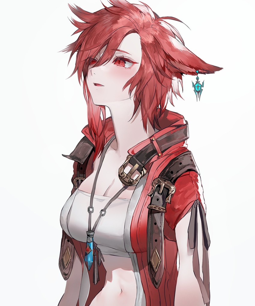 warrior of light (final fantasy and 1 more) drawn by muaooooo