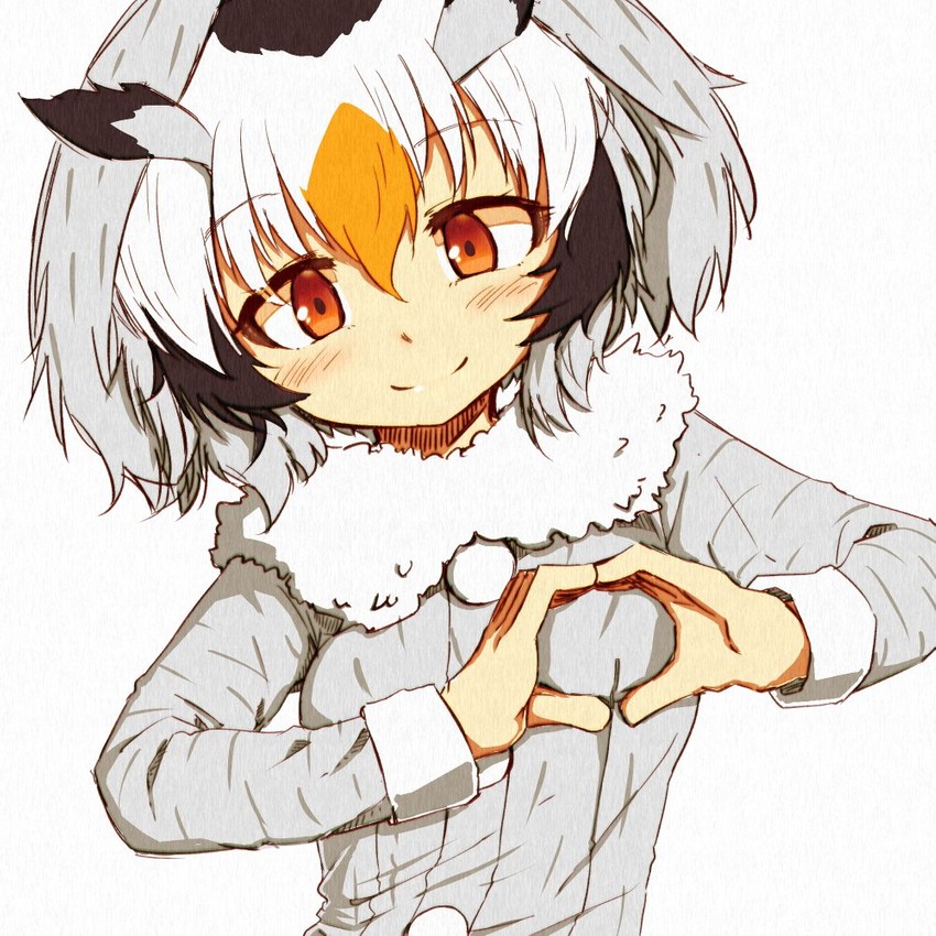 northern white-faced owl (kemono friends) drawn by 370ml
