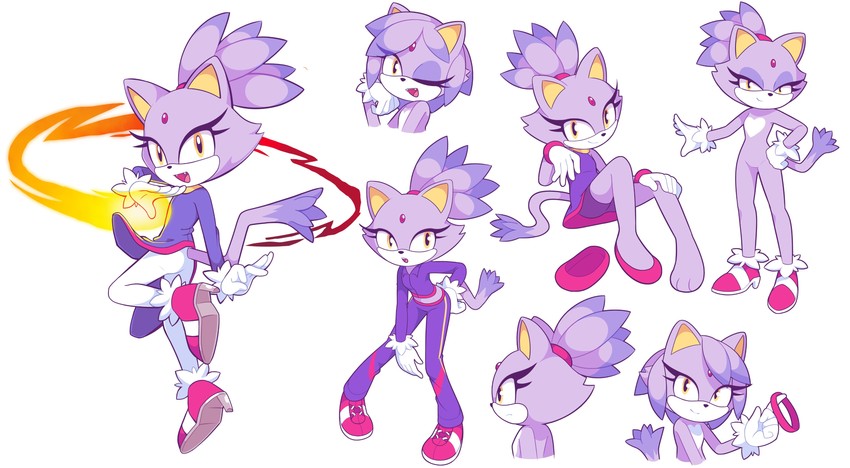 blaze the cat (sonic) drawn by starbirbz