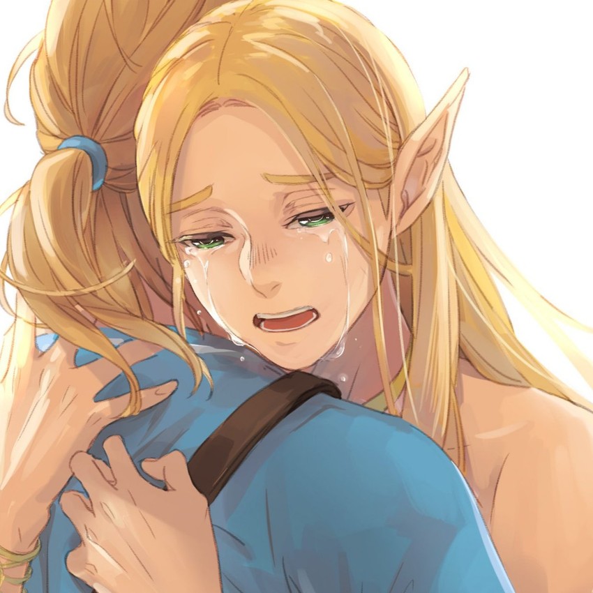 princess zelda (the legend of zelda and 1 more) drawn by eorinamo